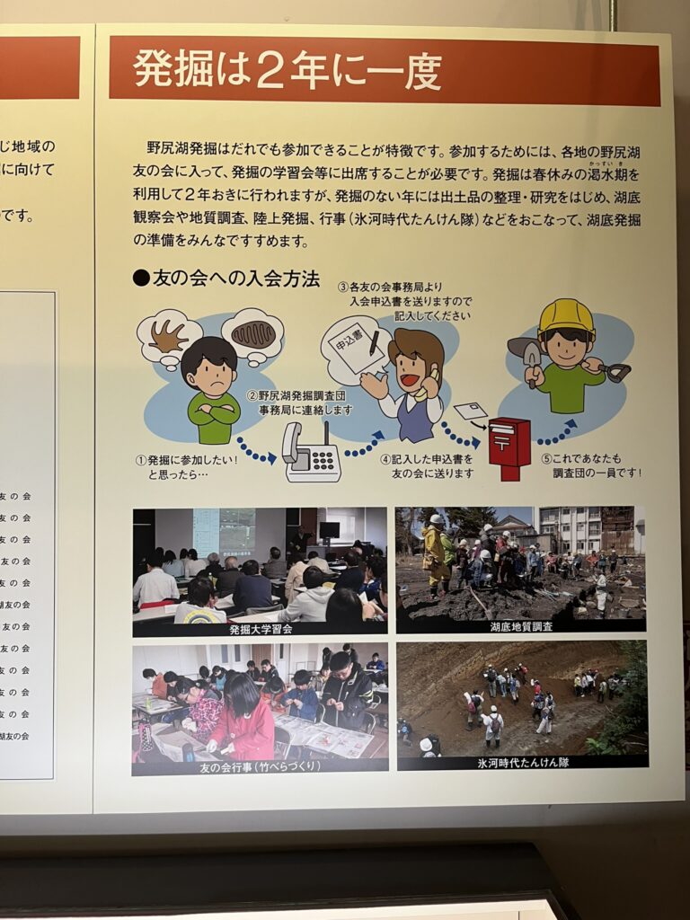 野尻湖発掘参加方法