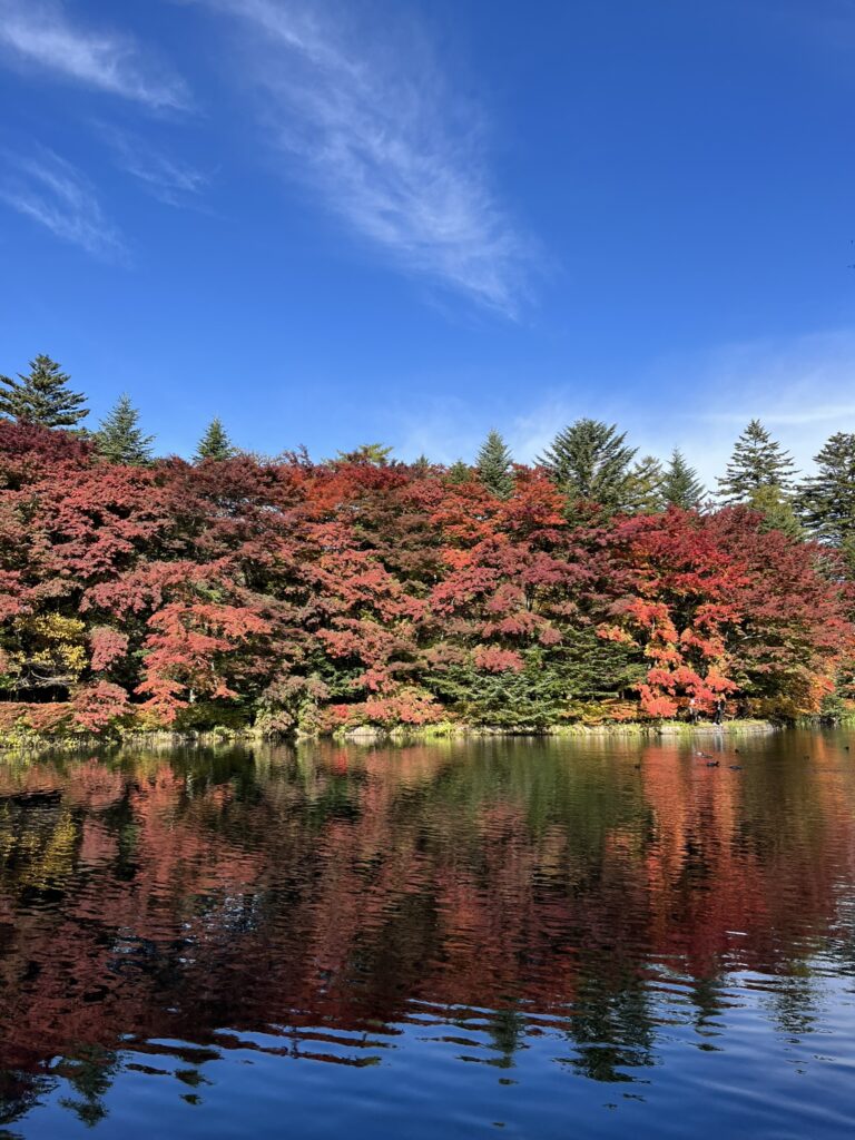 雲場池の紅葉