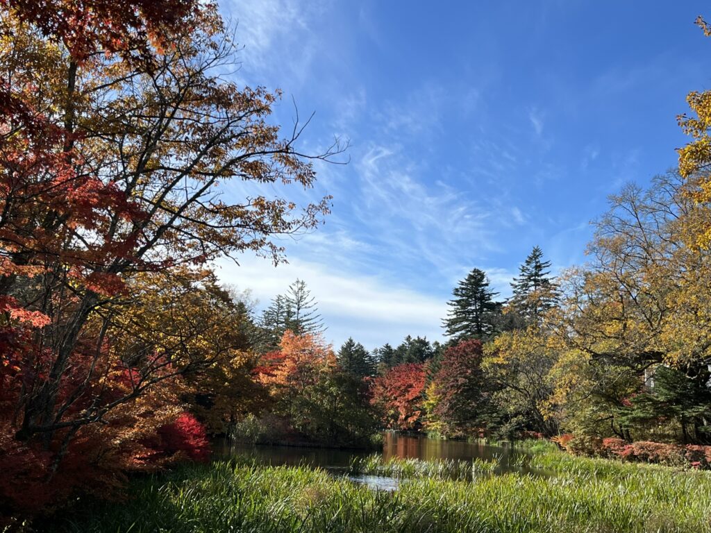 雲場池の紅葉