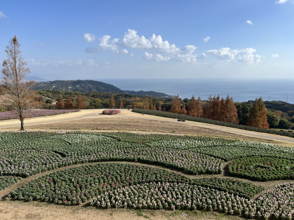 あわじ花さじきのストック畑と景色
