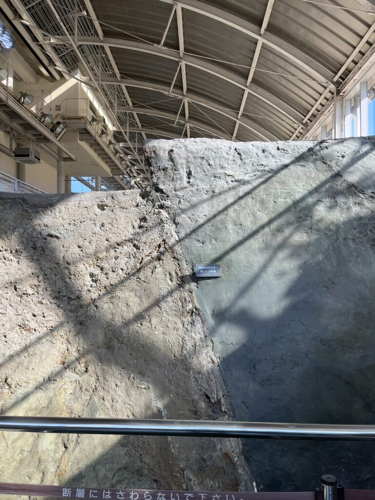 野島断層保存館 断層の断面