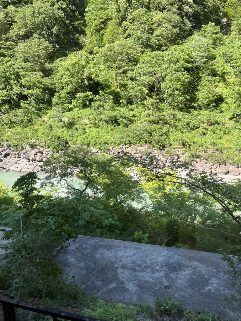 大糸線からの景色
