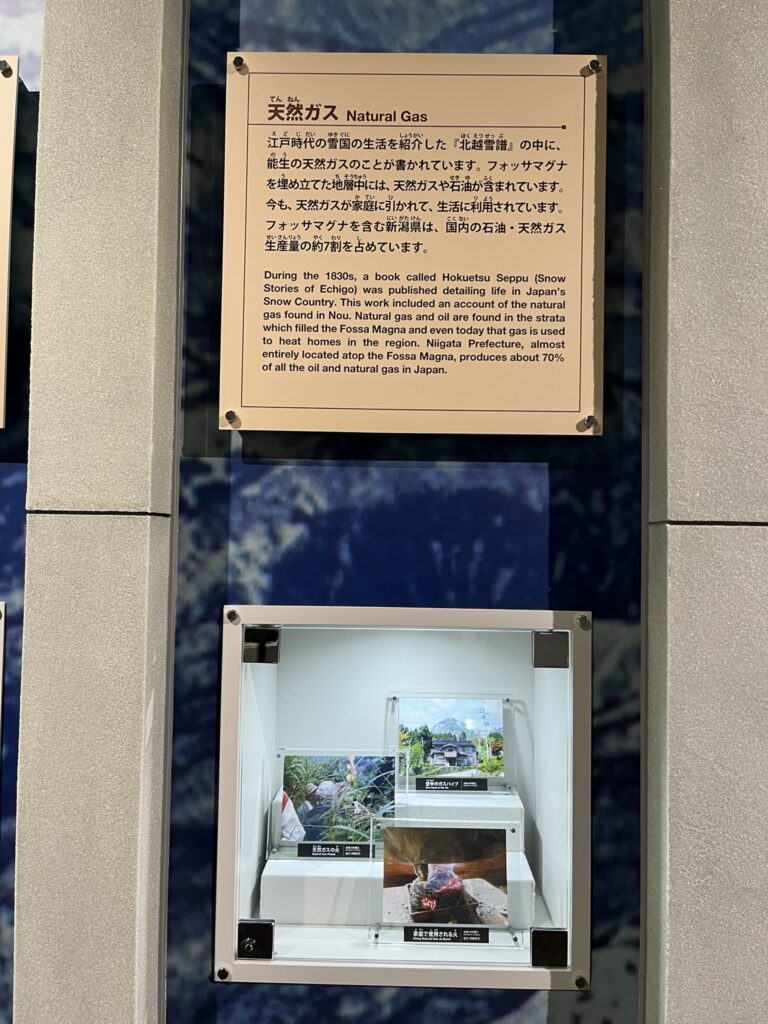 フォッサマグナミュージアムの展示